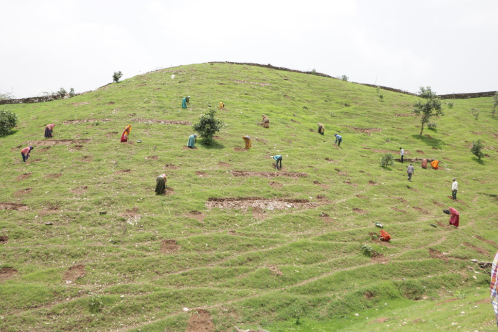 Plant 10,000 Trees to Reduce Carbon Footprints