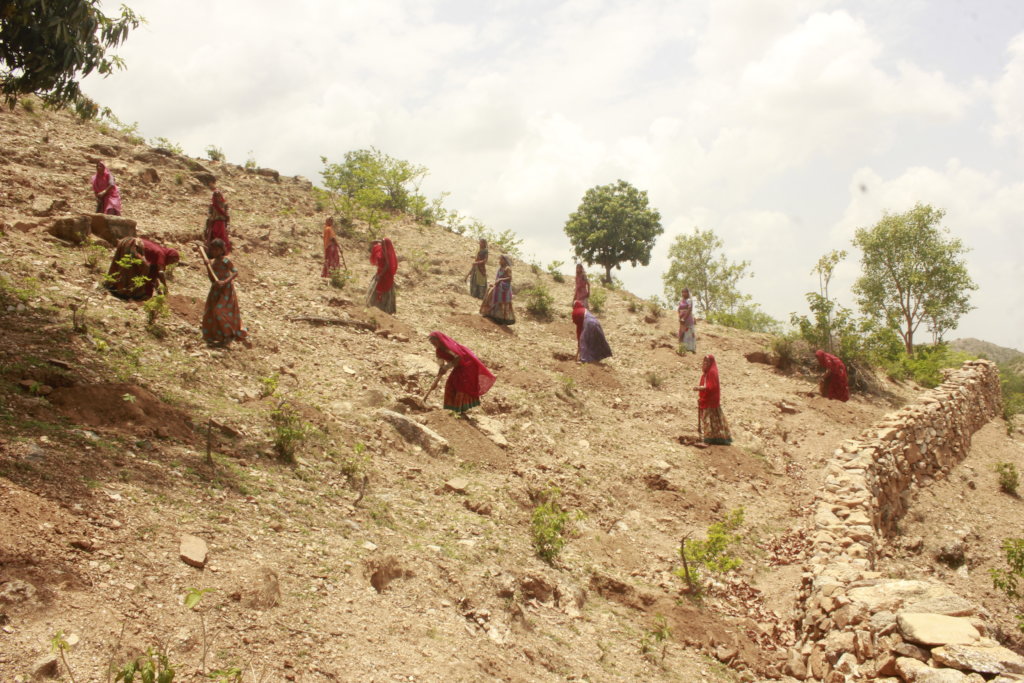 Plant 10,000 Trees to Reduce Carbon Footprints