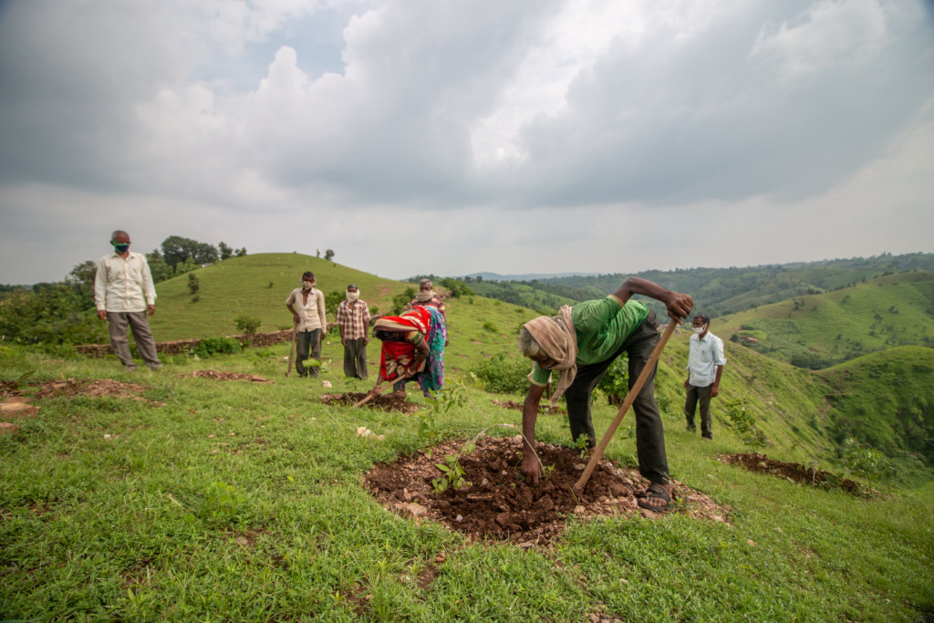 Plant 10,000 Trees to Reduce Carbon Footprints