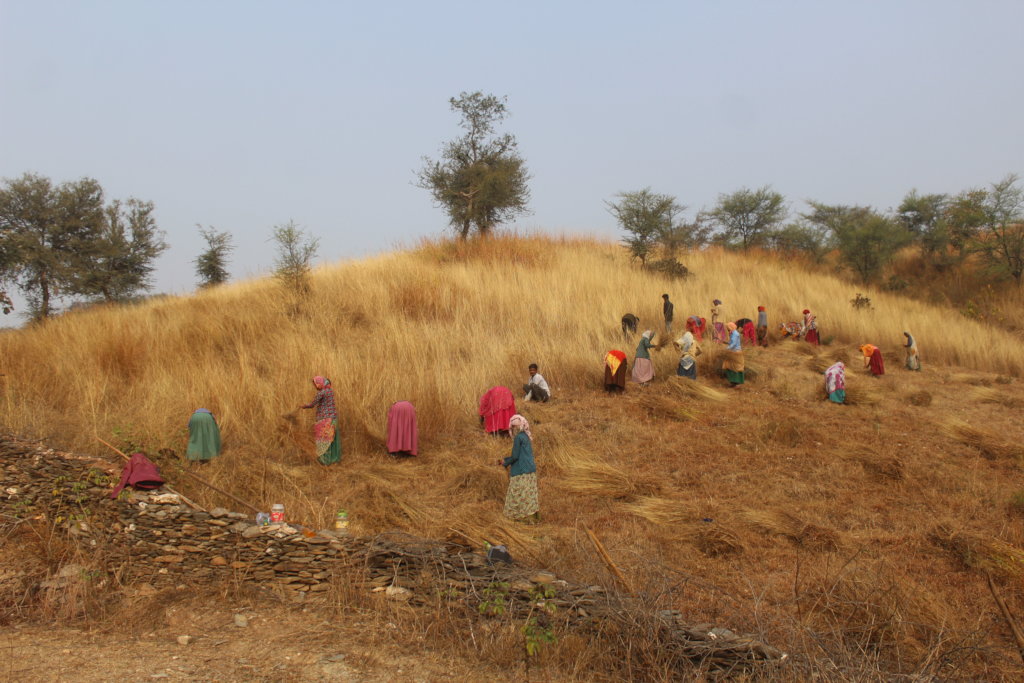 Plant 10,000 Trees to Reduce Carbon Footprints