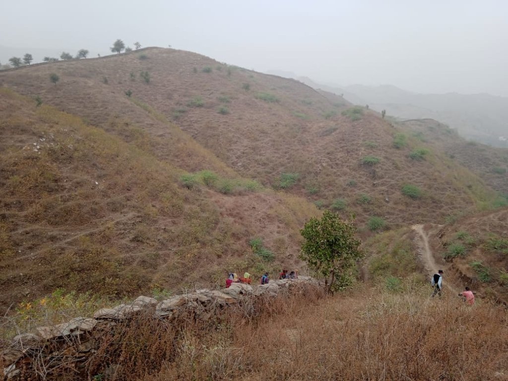 Plant 10,000 Trees to Reduce Carbon Footprints