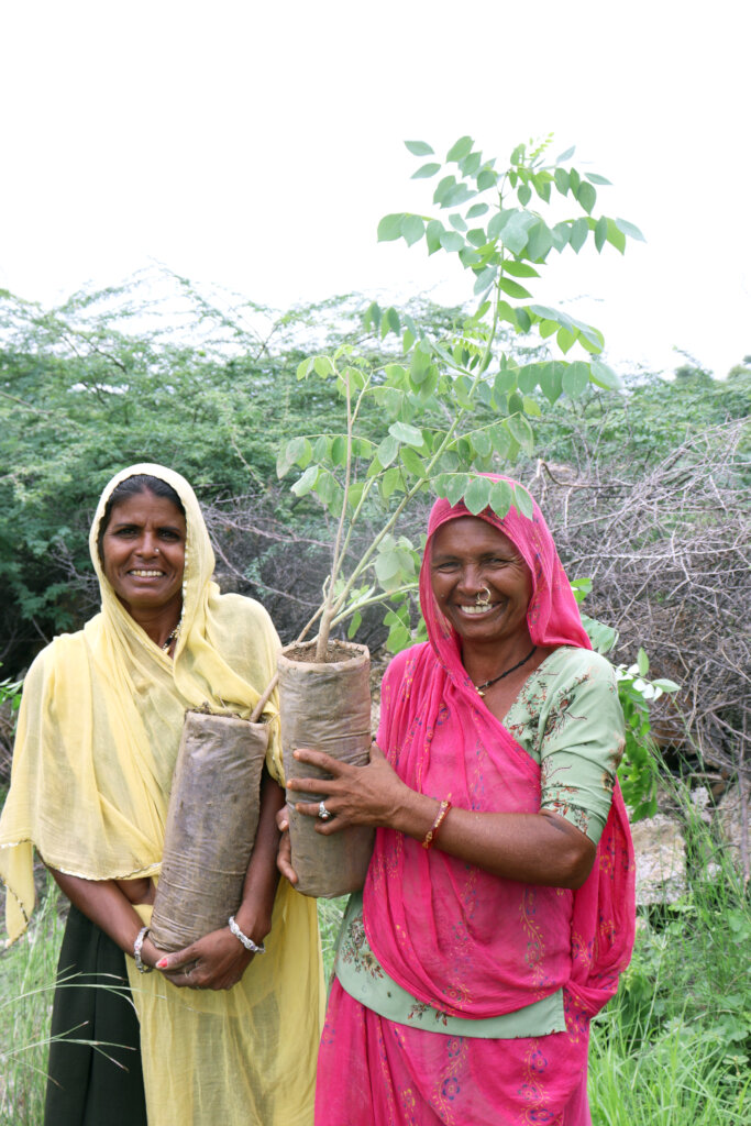 Plant 10,000 Trees to Reduce Carbon Footprints