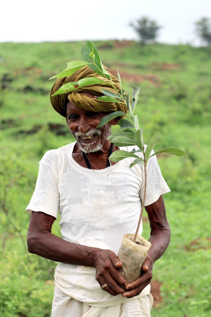 Plant 10,000 Trees to Reduce Carbon Footprints