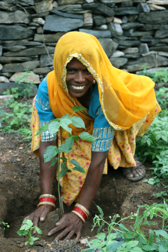 Plant 10,000 Trees to Reduce Carbon Footprints