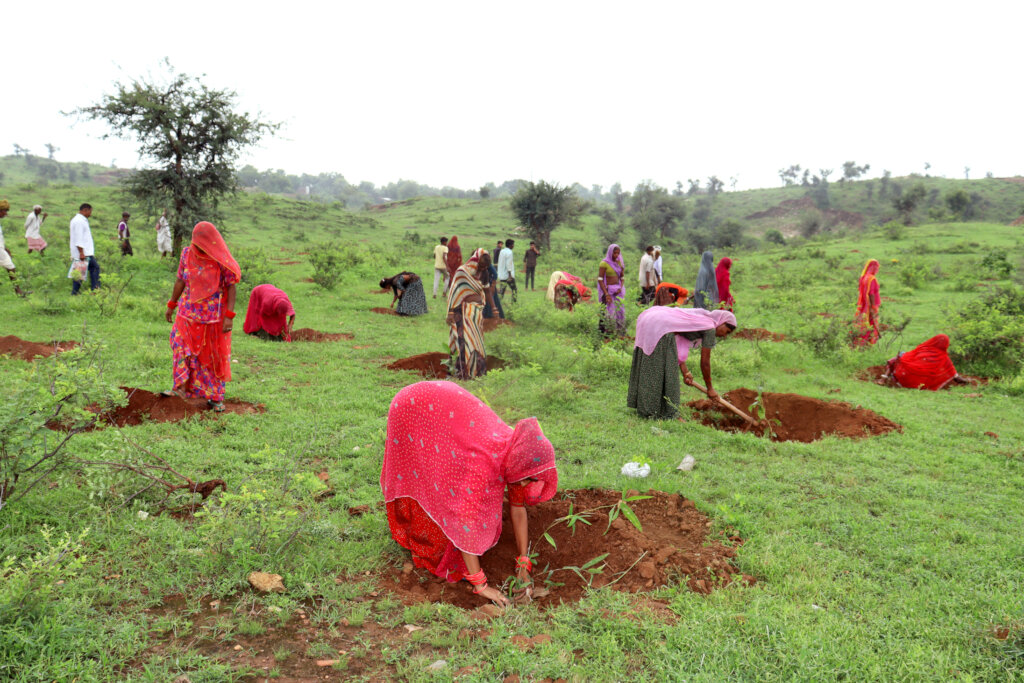 Plant 10,000 Trees to Reduce Carbon Footprints
