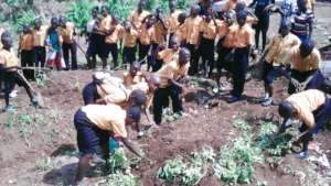 kids working at ecological garden