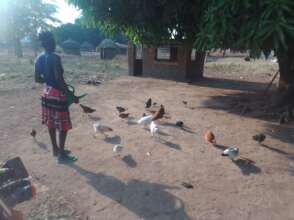 Jenifer with her poultry