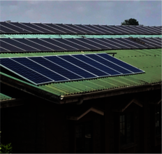 Solar Panel for Pumping water and lighting