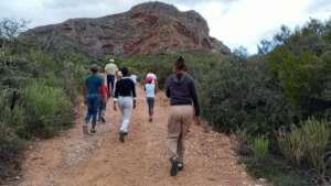 walking in the wild
