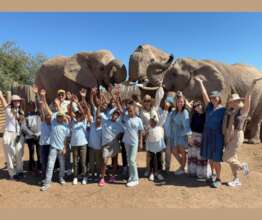 experiencing elephants at Buffelsdrift Game Lodge