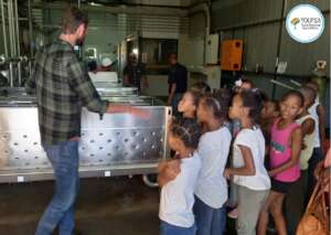 Tour of the De Rustica Olive Estate