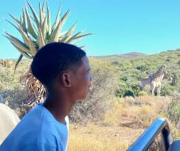 viewing animals in the wild for the first time