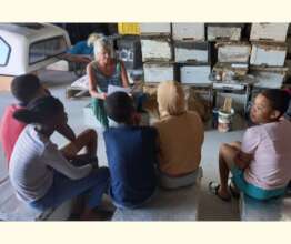 learning all about bees