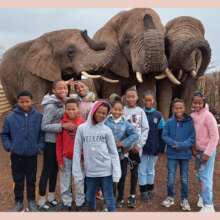 elephant experience