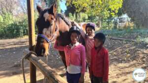 Pony camp experience