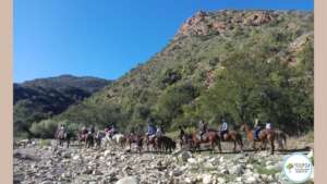 Pony camp experience