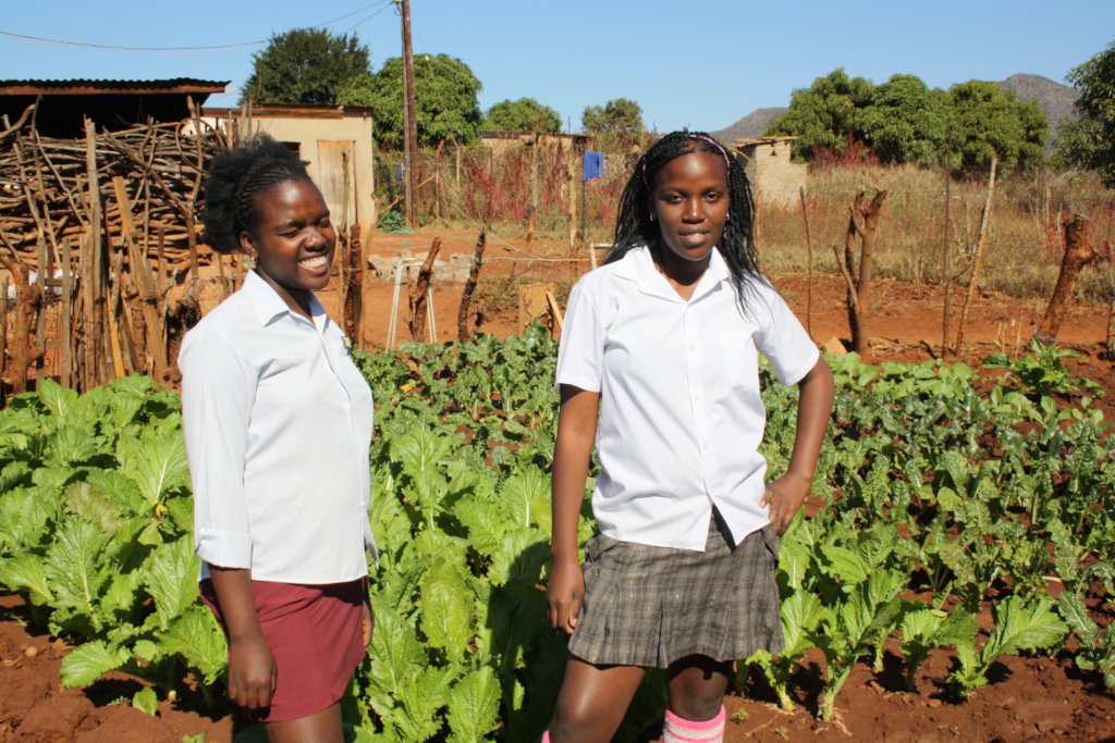 Prevent Stunting in 100vulnerable children TODAY!