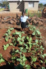 Door sized food gardens