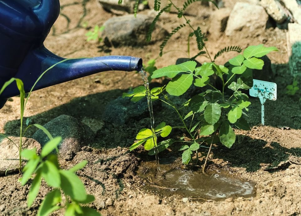 Rehab and Support for Homeless People