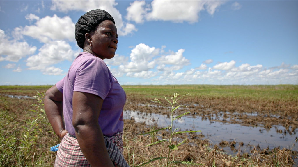 Cyclone Eloise Relief in Mozambique