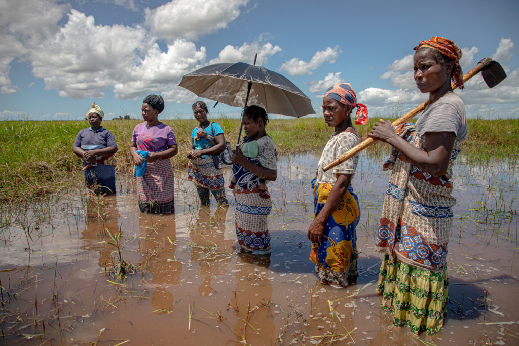 Cyclone Eloise Relief in Mozambique
