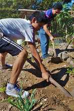 A student and teacher help clean the garden