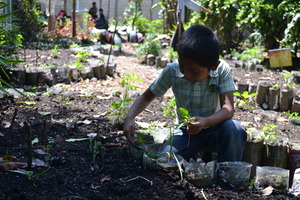 A student working in the Tzanchaj Garden