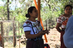 Sandy teaches in the organic school garden