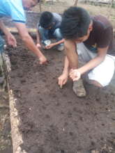 Nueva Vida students learn to plant seeds