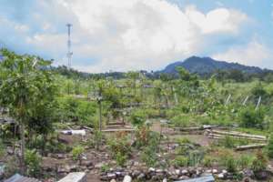 The Nueva Vida Primary School's garden