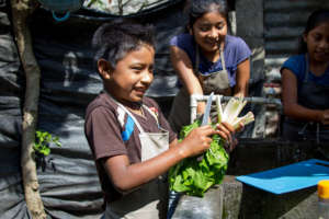 Students washing veggies