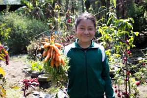 Harvested veggies used for school meals