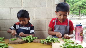 Learning to make nutritious food