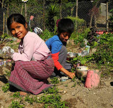 Students working in the Chacaya garden