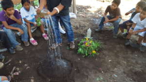 Seeing the effects of erosion