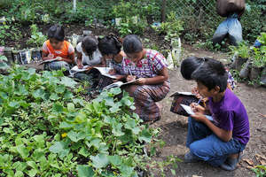 Garden class in one of our other partner schools