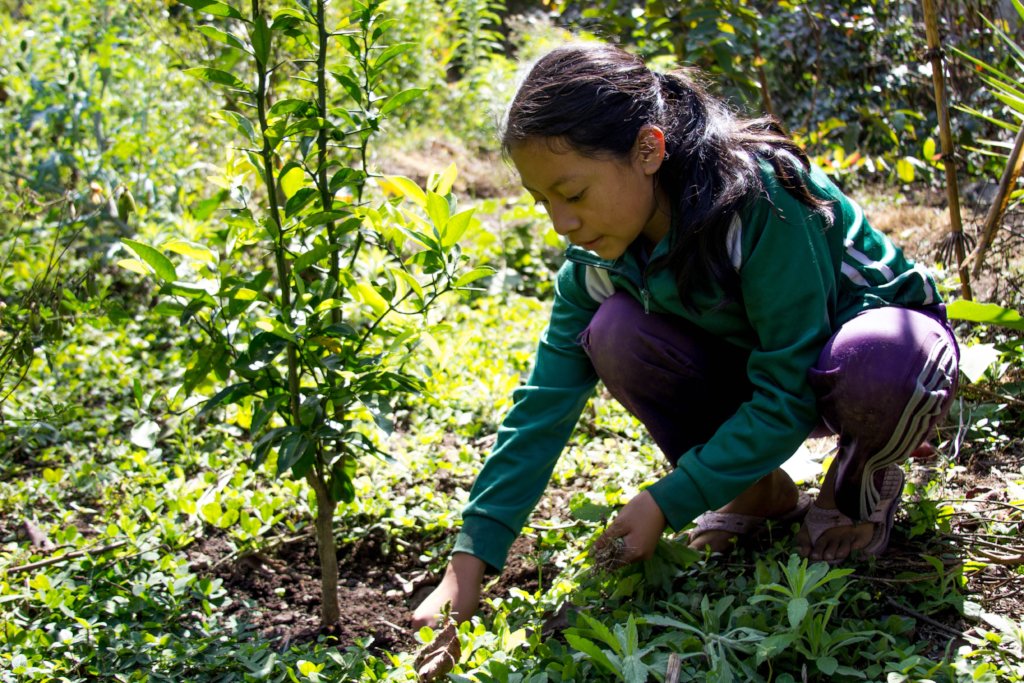 Fight Child Malnutrition in Rural Guatemala