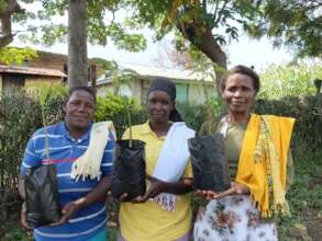 Women empowered - income generating tree nursery