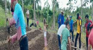 Communities planting seeds for food during drought