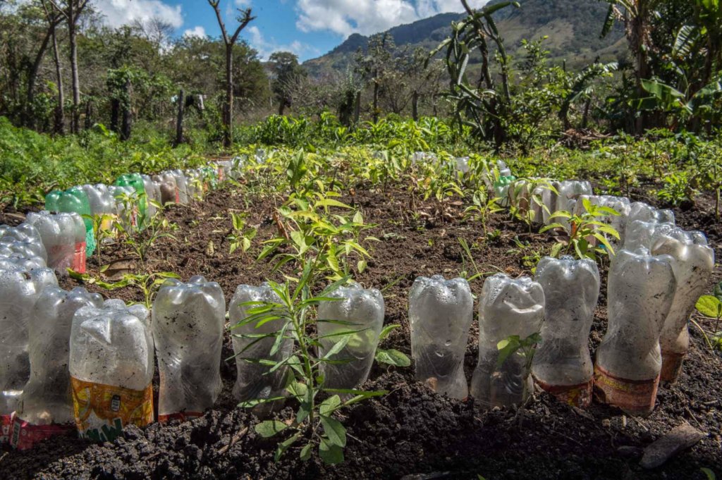 Helping Rural Communities in Nicaragua to Flourish