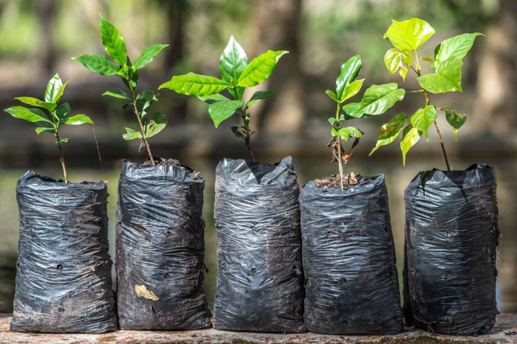 Helping Rural Communities in Nicaragua to Flourish
