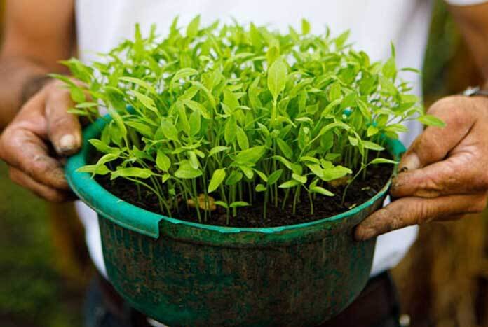 Helping Rural Communities in Nicaragua to Flourish