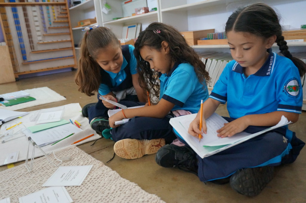 Support Montessori public education in Puerto Rico