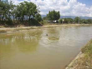 Drinking Water Source: Polluted Creek