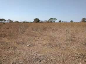 Dry times in Terat...