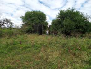 Water storage to rehabilitate