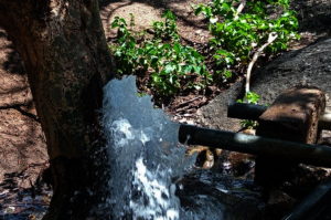 Life-saving borehole water in Tanzania