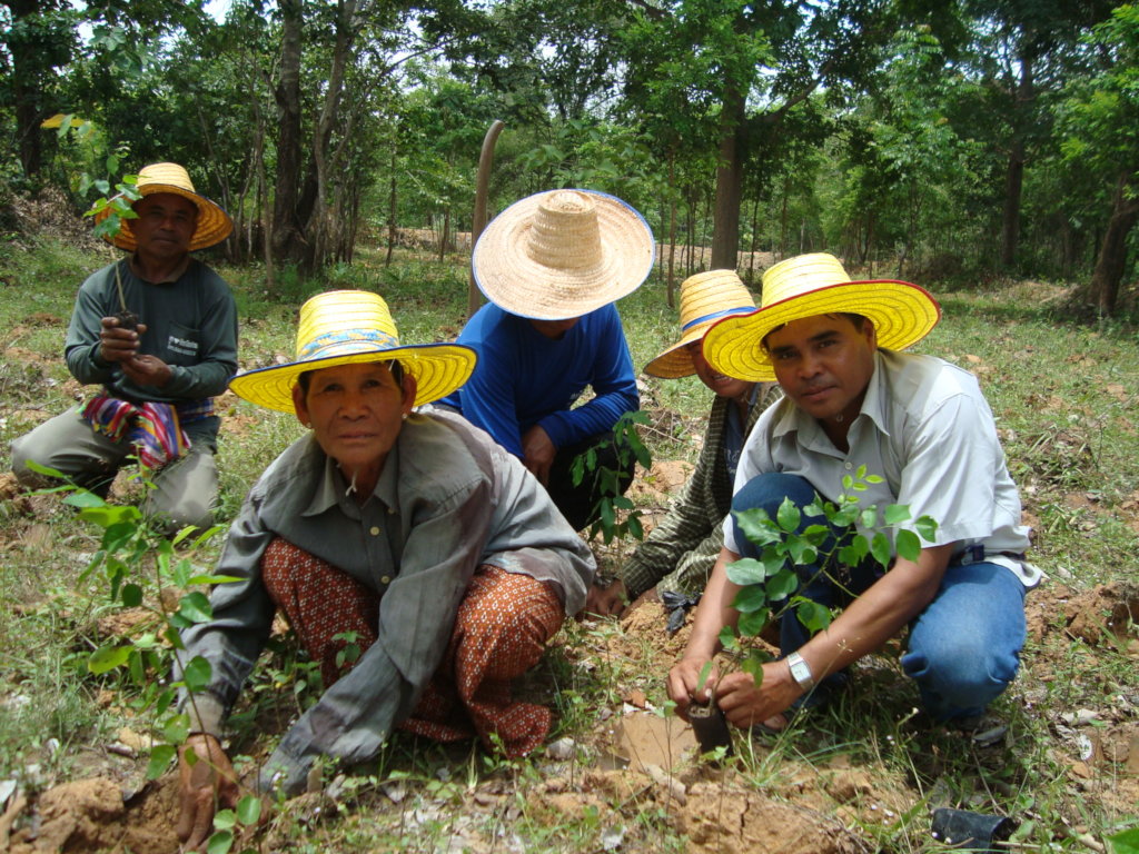 Trees for Us