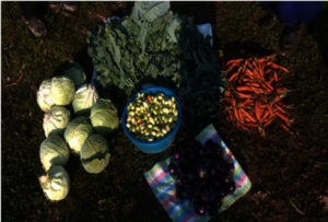 Vegetables for Sky Is The Limit school meals