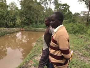 Inspecting the fish-ponds that need updating